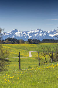 Scenic view of field and snowcapped mountains against sky