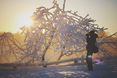 Man photographing by snow covered tree