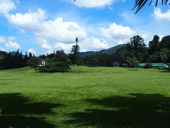 Scenic view of grassy field against sky