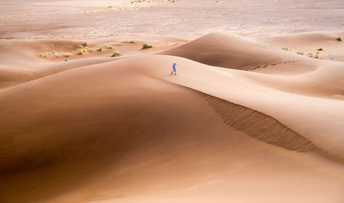 View of sand dunes in desert