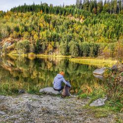 Enjoy the silence of the woods