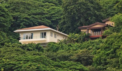 House amidst trees and plants growing in forest