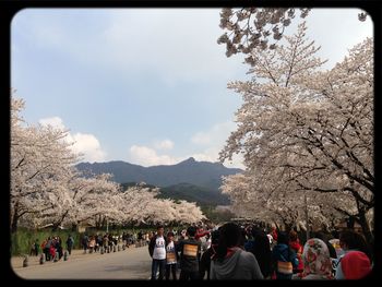 People in park