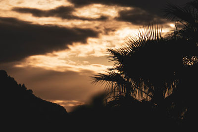 Low angle view of silhouette palm trees against sky during sunset