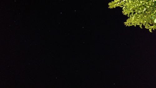 Low angle view of stars in sky