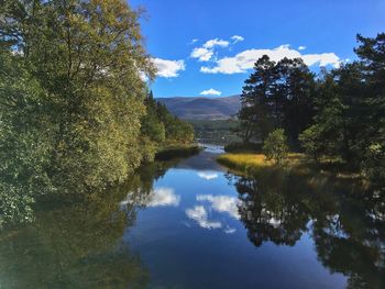 Reflection of trees in lake against sky