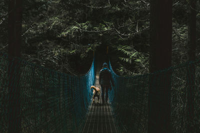 Man with dog walking on boardwalk