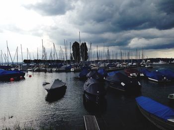 Boats moored at harbor