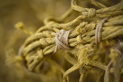 Close-up of rope tied up outdoors