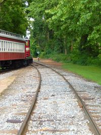 Railroad track passing through trees