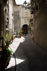 Alley amidst buildings