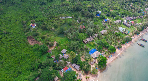 High angle view of people on field by trees