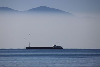 Sailboat sailing on sea against sky
