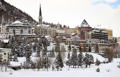 Snow covered trees and buildings against sky