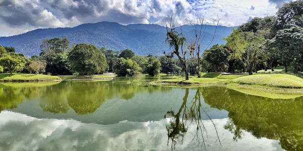 Scenic view of lake by trees against sky