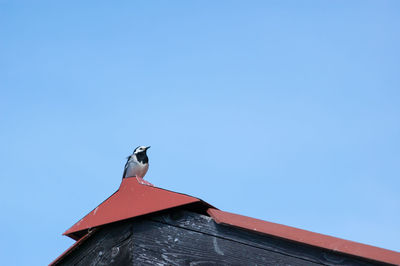 Low angle view of bird on roof against clear sky