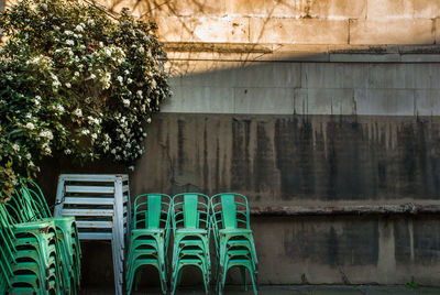 Empty chairs and plants against wall