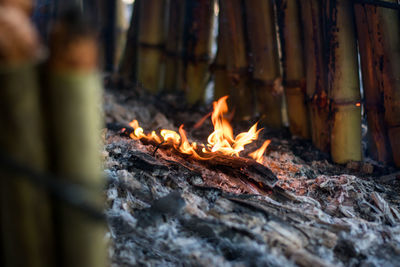 Close-up of bonfire