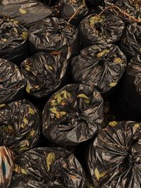 View from a large angle on bags with autumn leaves