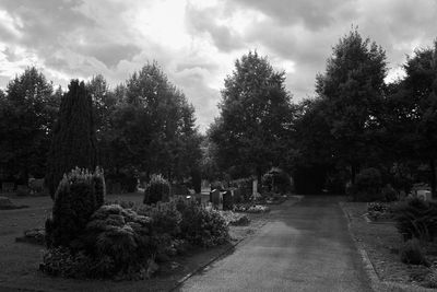 Trees in cemetery against sky