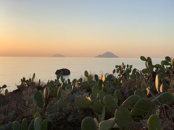 Scenic view of sea against clear sky during sunset