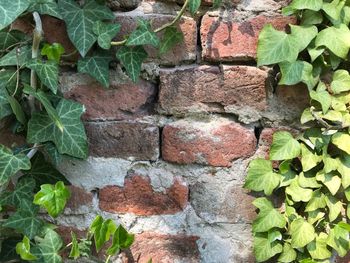 Close-up of brick wall