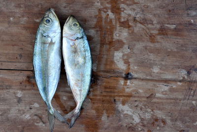 High angle view of fish on table