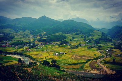 Scenic view of agricultural field against sky