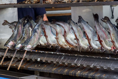 Close-up of fish hanging in kitchen