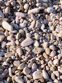 Full frame shot of pebbles on beach