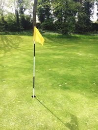 Yellow flag on golf course