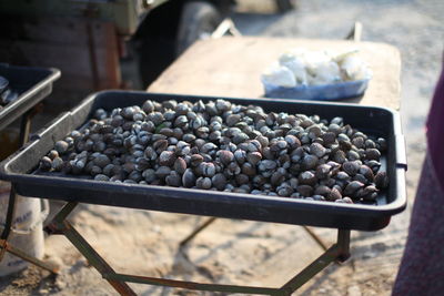 High angle view of cockles in tray