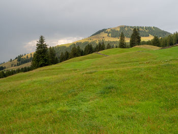 Scenic view of grassy field against sky