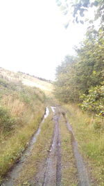 Road amidst trees on field against sky