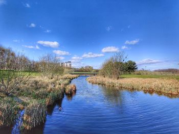 Scenic view of river against blue sky