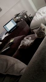 indoors