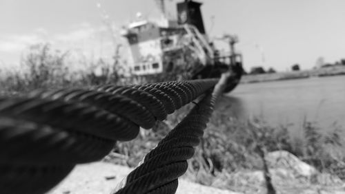 Close-up of snake on field against sky