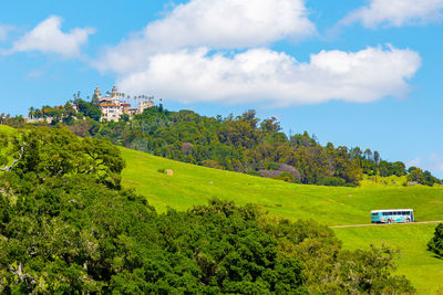 Tourist bus takes tourists to hearst castle