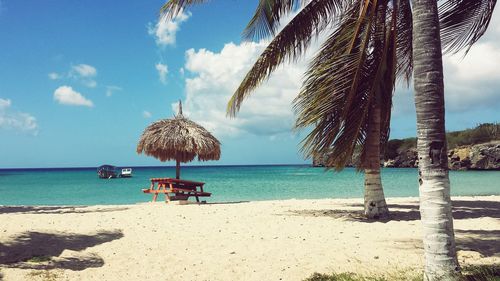 Palm trees on beach