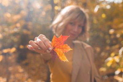 Close-up of person holding maple leaves during autumn