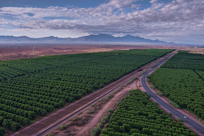 Scenic view of agricultural field against sky