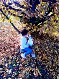 Autumn leaves on field