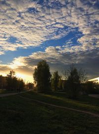 Scenic view of field against sky at sunset