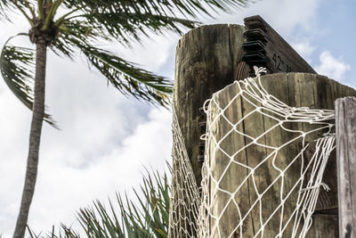 Low angle view of palm tree against sky