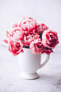 Close-up of pink flowers in vase on table