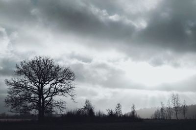 Low angle view of bare trees against cloudy sky