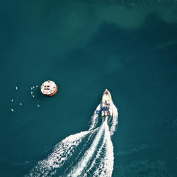 High angle view of woman swimming in sea