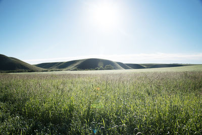 Scenic view of field against sky on sunny day