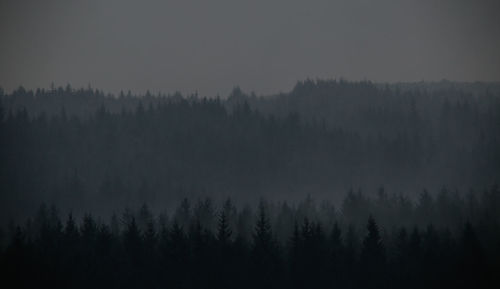 Silhouette trees in forest against sky during foggy weather