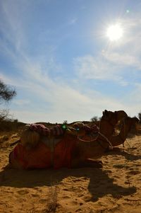 Scenic view of desert against sky